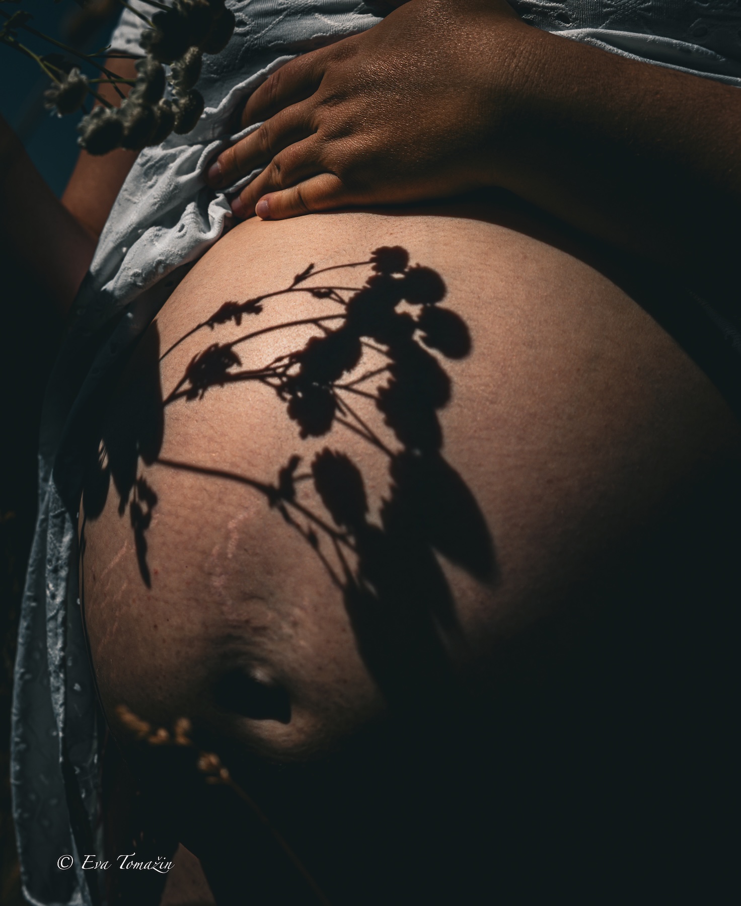 Nosečniška fotografija